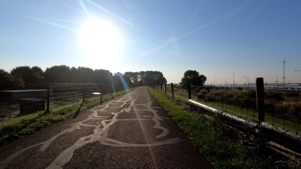photo of cycle path in the netherlands with cracks covered by bitumen